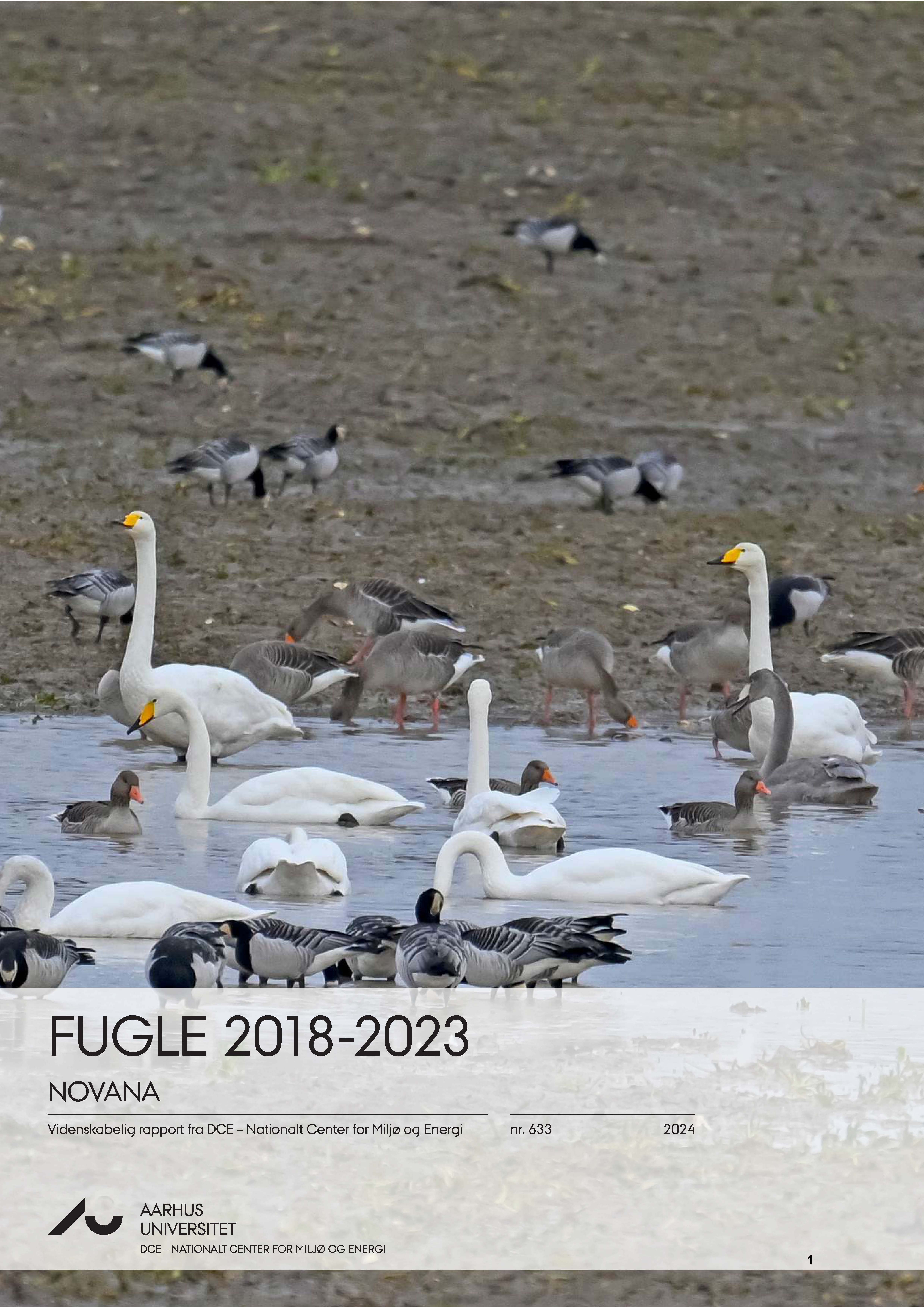 Fugle 2018 2023