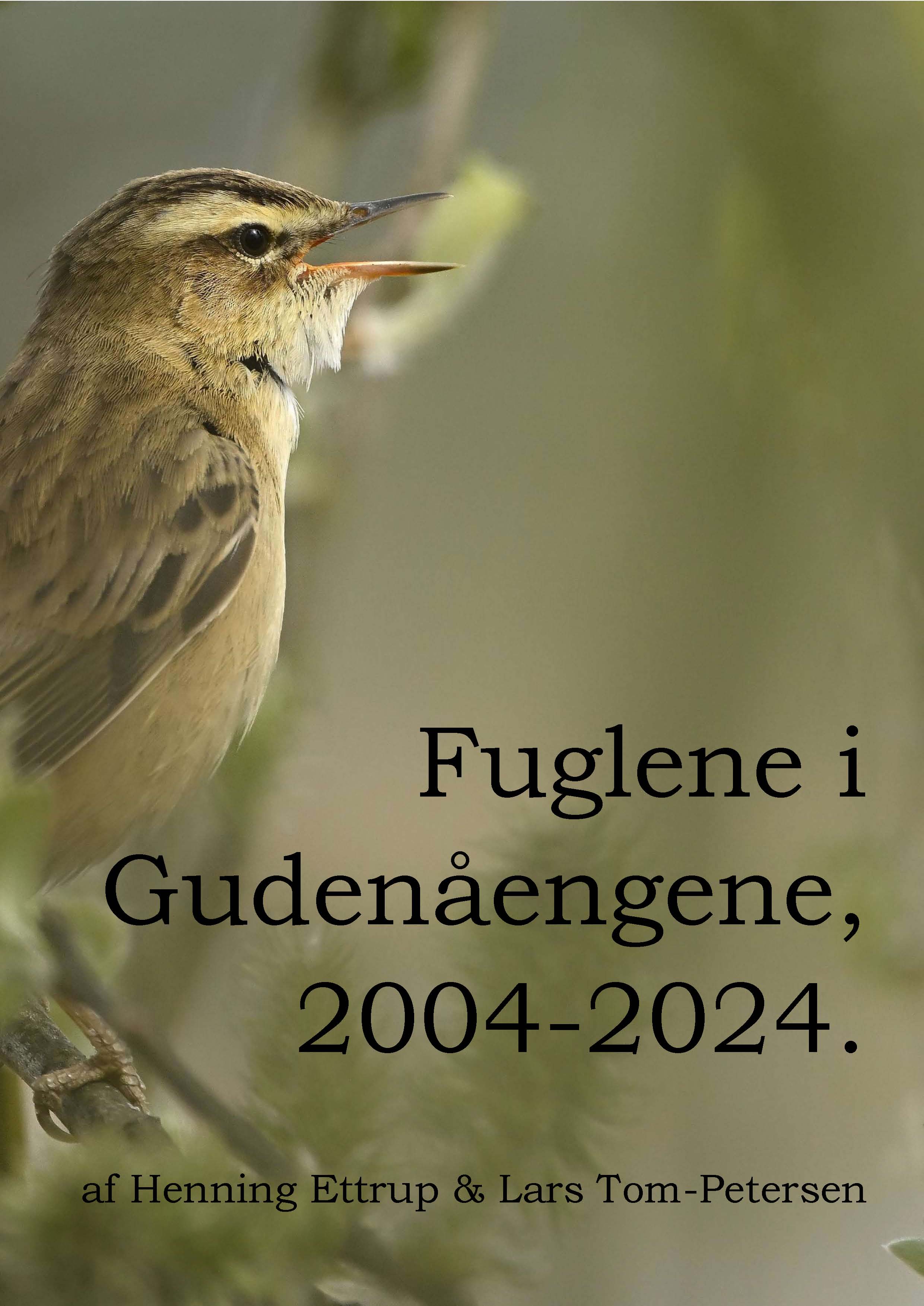 Gudenaaengene