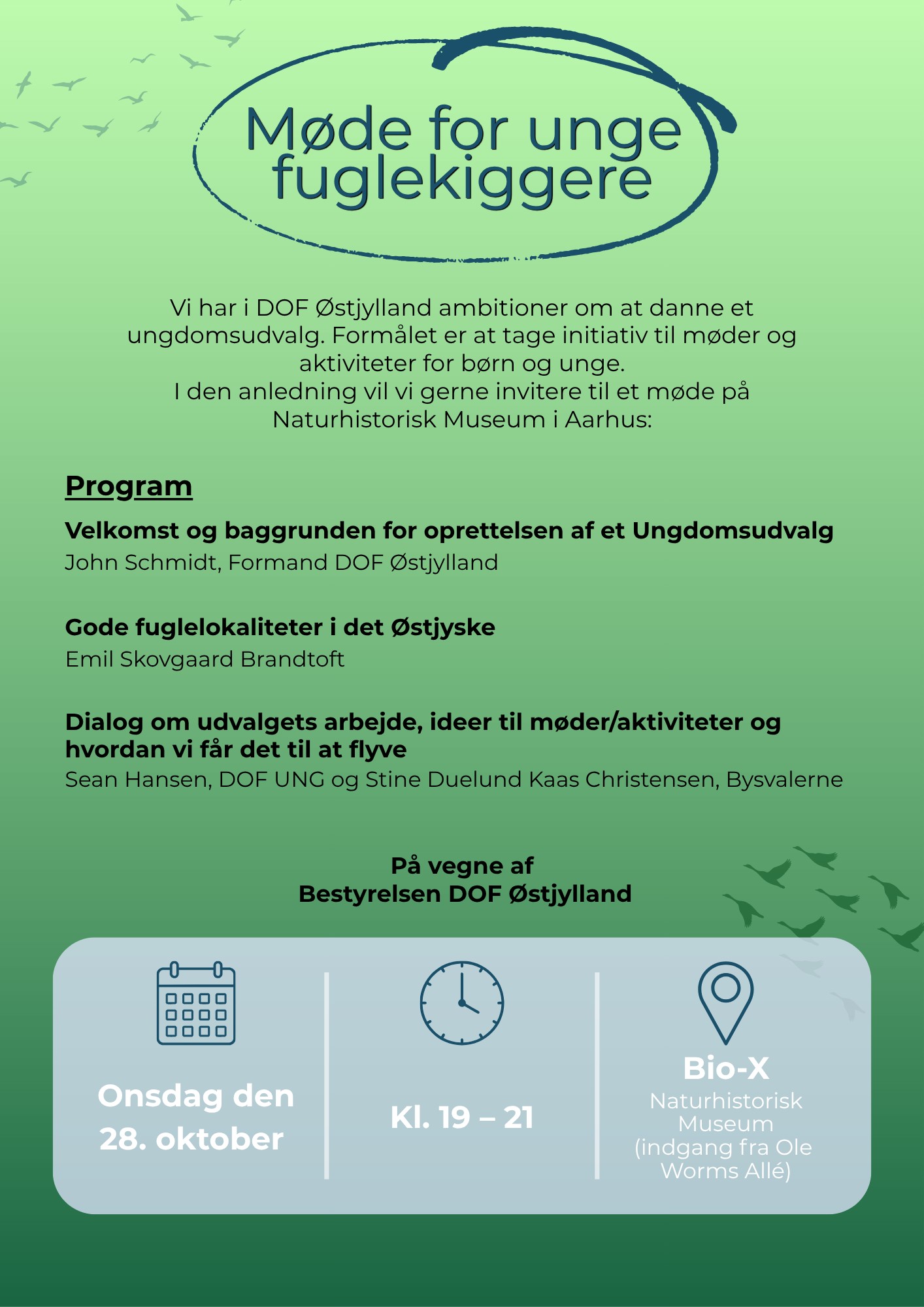 Unge fuglekiggere Invitation